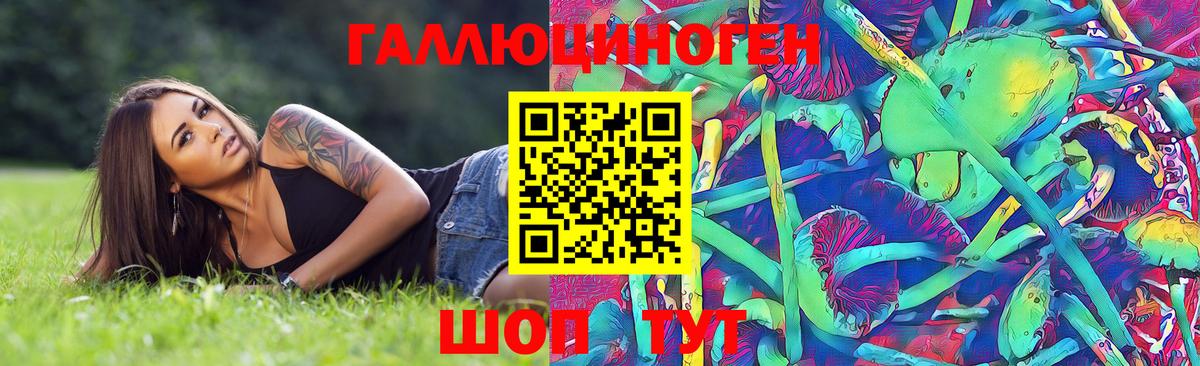 Псилоцибиновые грибы GOLDEN TEACHER Урай